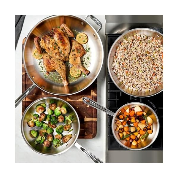   All-Clad-D3-3-Ply-Stainless-Steel-Fry-Pan-Set-2-Piece-10-12-Inch-Induction-Oven-Broiler-Safe-600F-Kitchen-Cooking-Set-Skillets-Durable-Frying-Pans-Professional-Pots-and-Pans-Set-Cookware-Silver