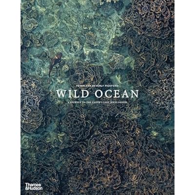 Wild Ocean