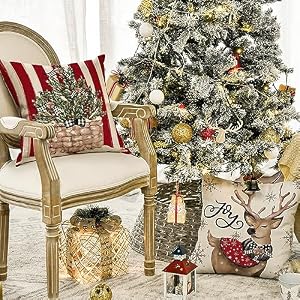 AVOIN colorlife Christmas Snowman Reindeer Gloves Eucalyptus Red Throw Pillow Covers, 18 x 18 Inch Winter Holiday Stripes Cushion Case Decoration for Sofa Couch Set of 4 AVOIN colorlife Christmas Snowman Reindeer Gloves Eucalyptus Red Throw Pillow Covers 18 x 18 Inch Winter Holiday Stripes Cushion Case Decoration for Sofa Couch Set of 4