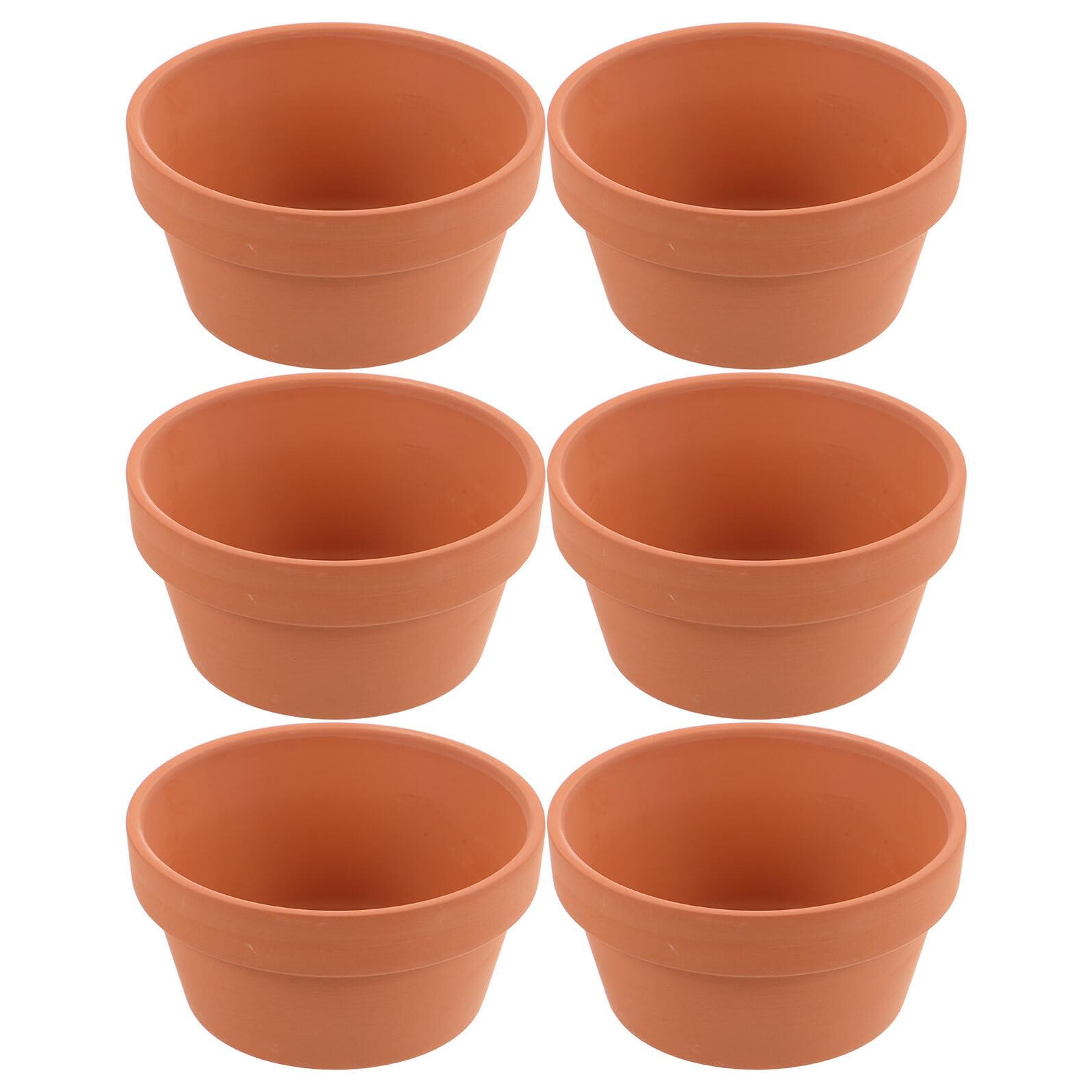 Pots en terre cuite pour sauver vos cactus du pourrissement racinaire