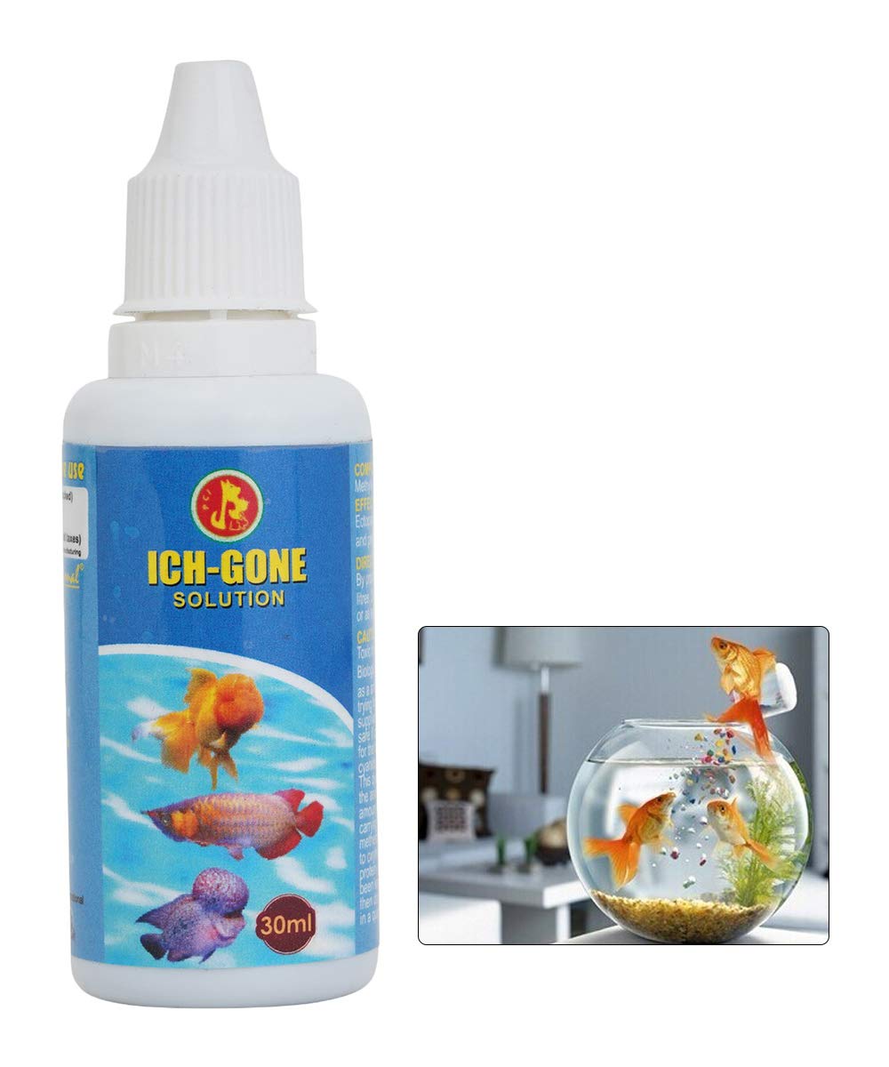 See full amazon price history chart for Pet Care International (PCI) Ich Gone an Anti-Ich for Healthy Fish Care Aquarium (100ml) (Pack of 1, 30ml) Pet Care International (PCI) Ich Gone an Anti-Ich for Healthy Fish Care Aquarium (100ml) (Pack of 1, 30ml) (B08BFPYZ12) Amazon Price History, Amazon Price Tracker