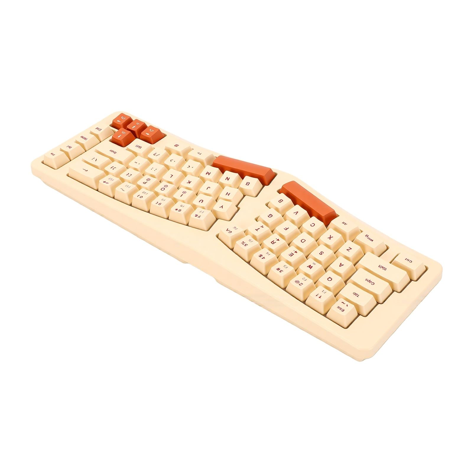 Dpofirs Tastiera Ergonomica RGB Divisa per Digitazione Confortevole