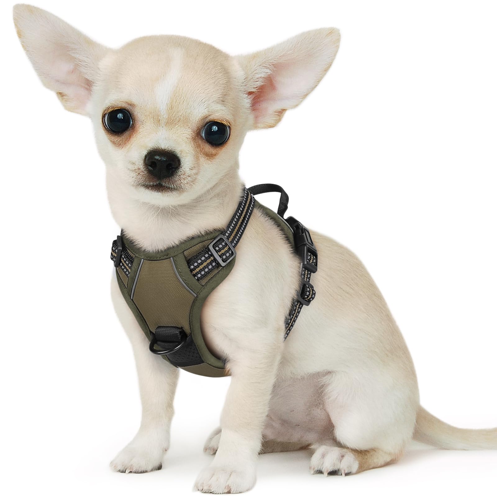Eagloo Dog Harness for Small Dogs, No Pull Pet Vest with 2 Leash Clips