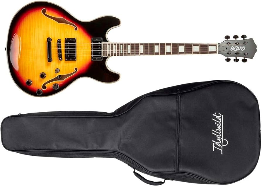 Amazon.co.jp: Monoprice セミホローボディ エレキギター 右