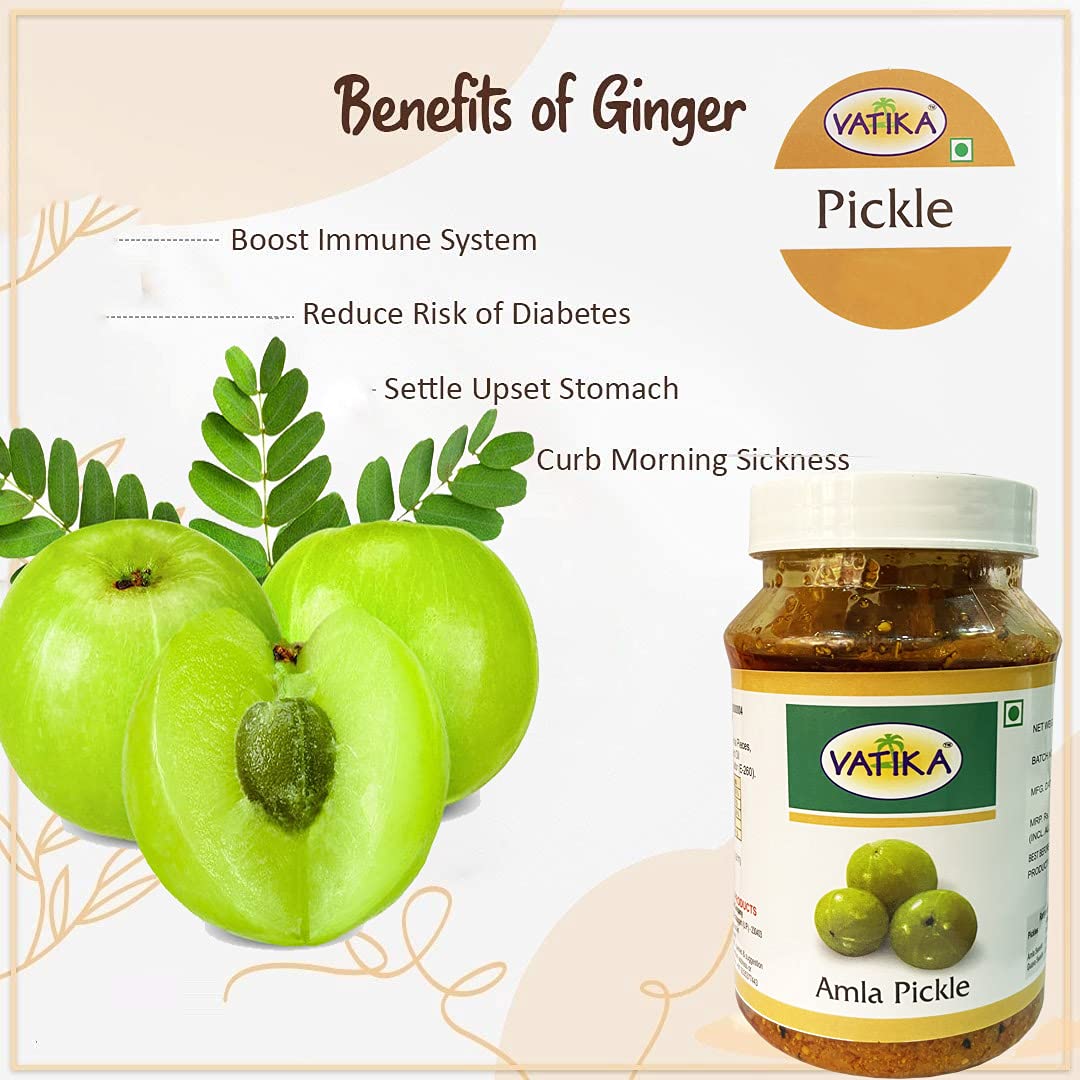 Amla Pickle Made in Mustard Oil | Gooseberry Pickle Make in Mustard Oil |Awla Pickle -400gm | Sarao ke Tel me bana Hua Amle ka Achar 4
