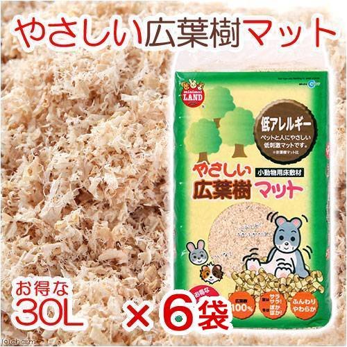 }J ₳Lt}bg 30L  nX^[  nlY~ bg  ~ 6ܓ