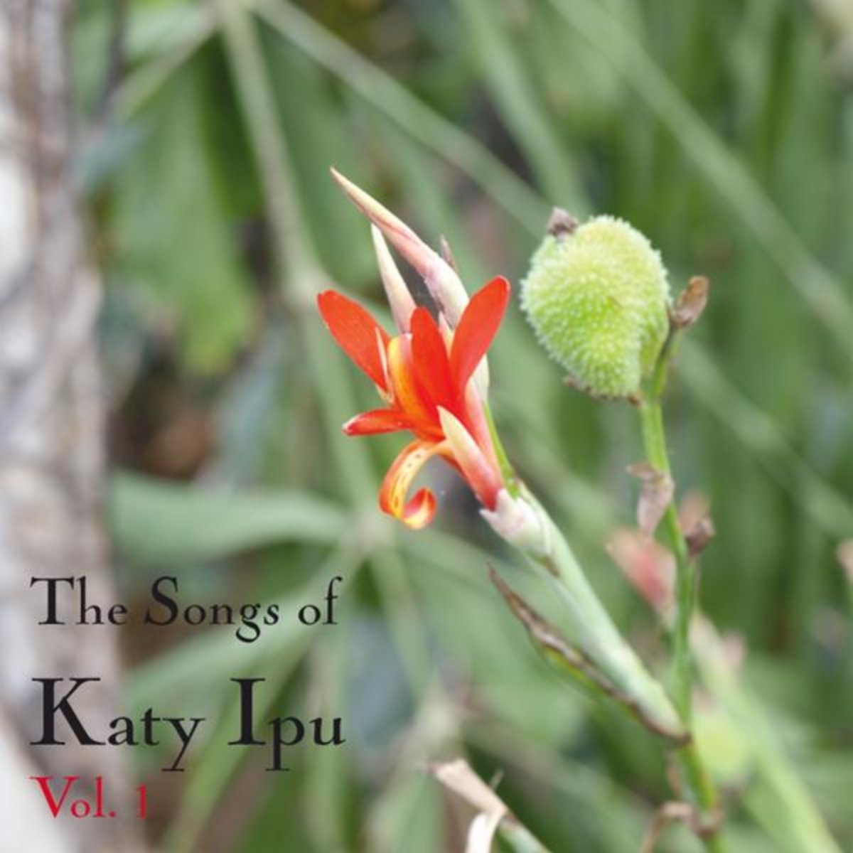 Bobby Grass & Mike Strauss