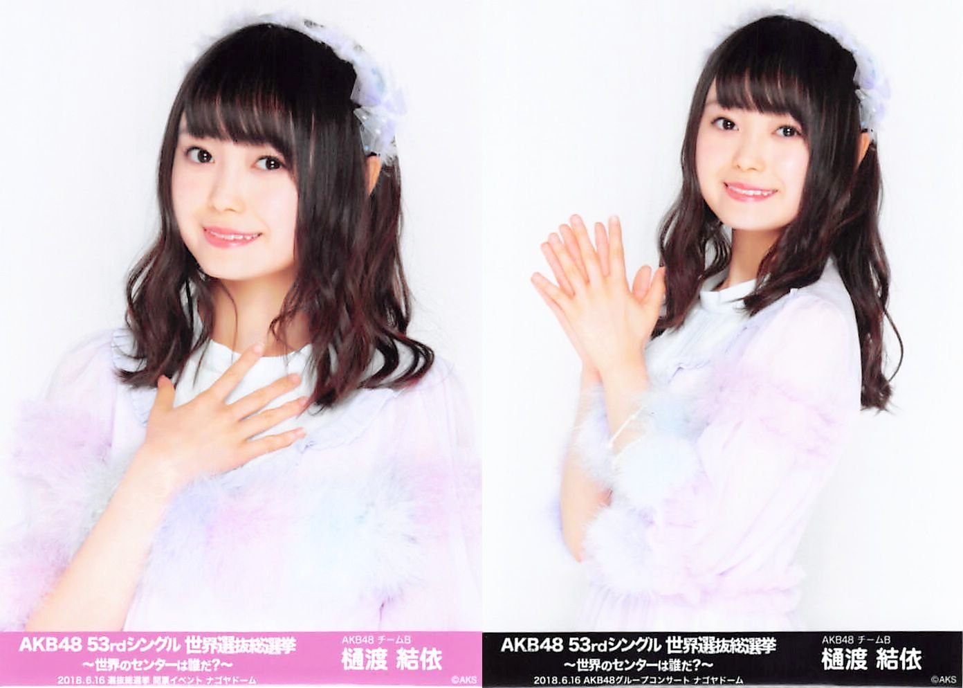 AKB48 選抜 総選挙 グループコンサート 開票イベント 生写真 2種コンプb