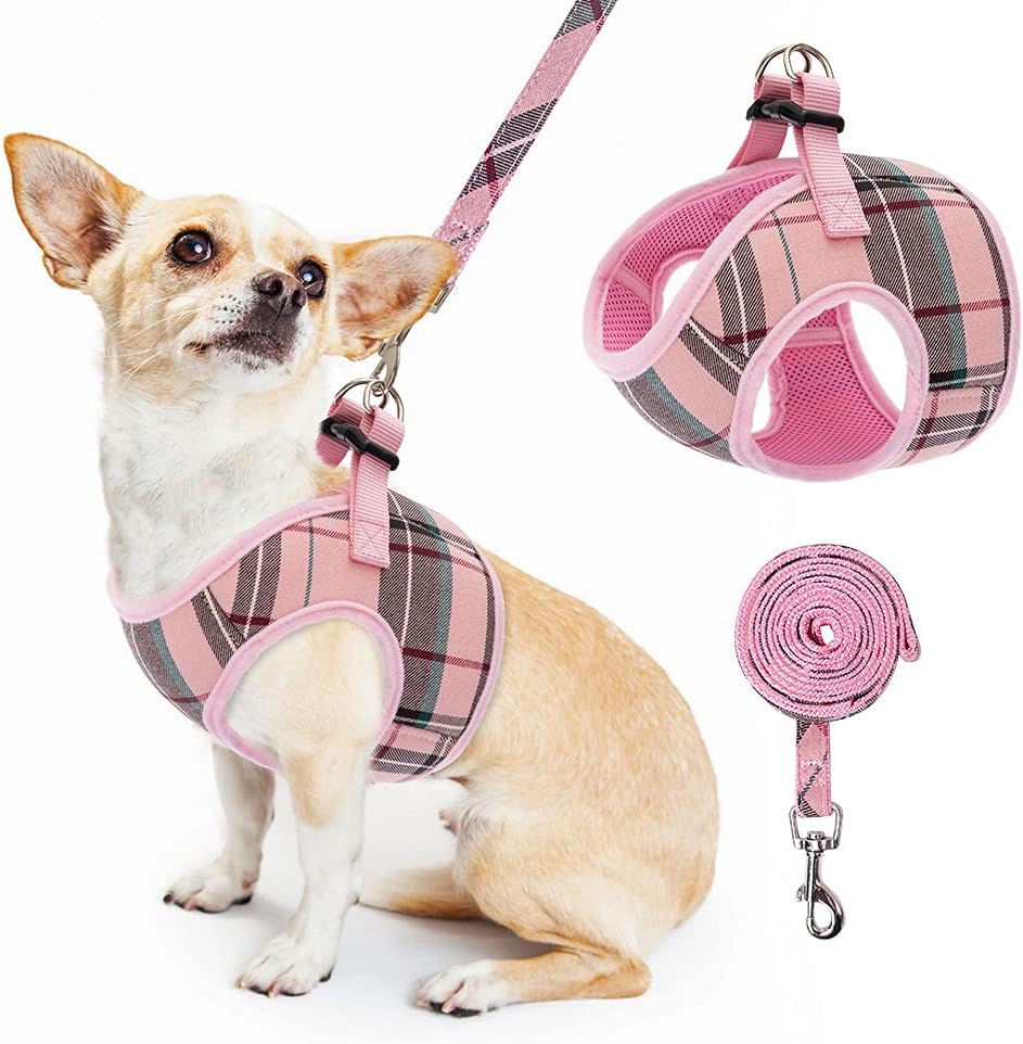 small dog halter