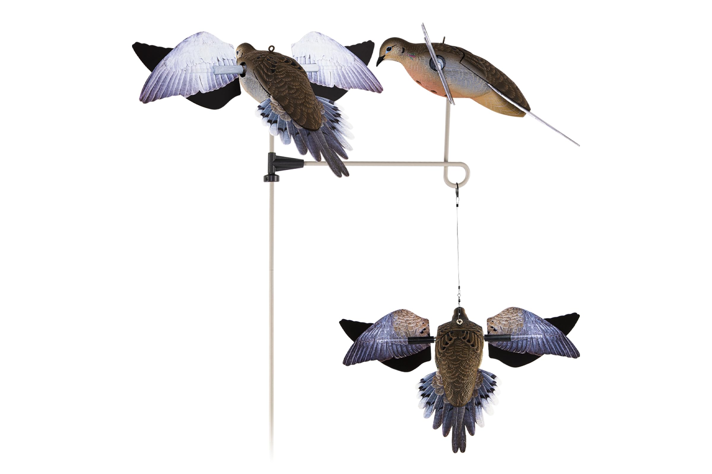 Avian-X POWERFLIGHT Spinning Wing Dove, Decoys - Amazon Canada