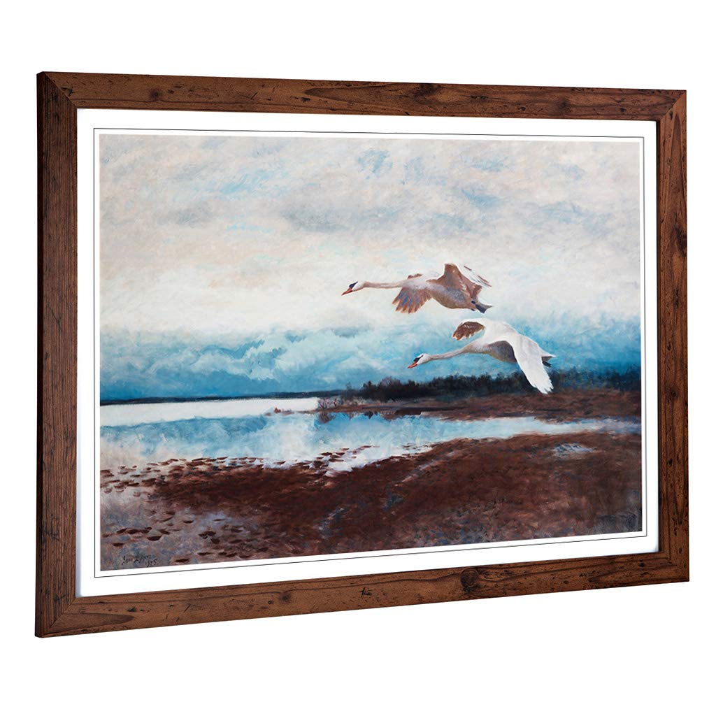 Big Box Art Framed Print of Bruno Liljefors Swans in Flight Design | Wall Art Picture | Home Decor for Kitchen, Living Room, Bedroom, Hallway, Walnut, A2 / 24.5x18 Inch / 62x45cm