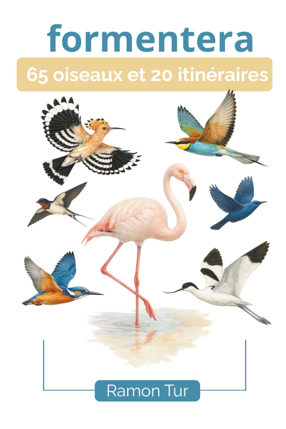 Formentera 65 oiseaux et 20 itinéraires: Guide illustré pour découvrir Formentera à travers ses sentiers et ses oiseaux