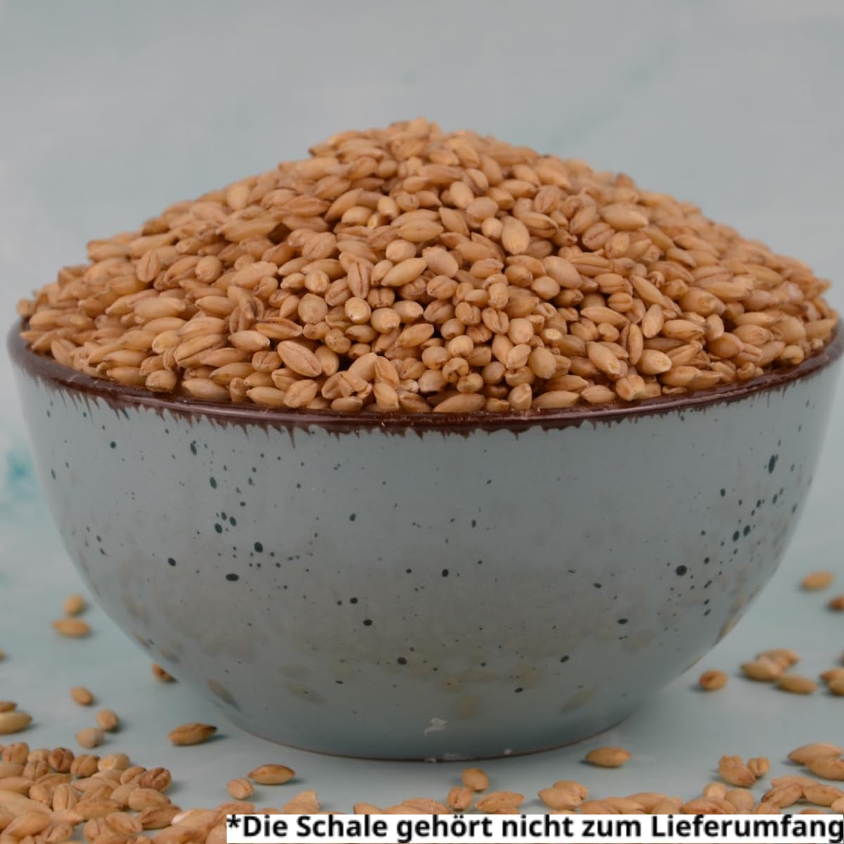 Bio Gerste 25 kg | Klassisches Getreidekorn für Frischvermahlung, Suppen, Eintöpfe, Körnerbrot, Bratlinge und herzhafte Beilagen