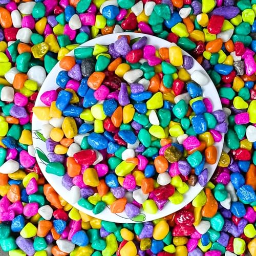 Foodie Puppies Colored Decorative Multicolor Stones - (5Kg, Small...