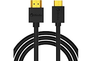iBirdie Mini HDMI to HDMI 10ft