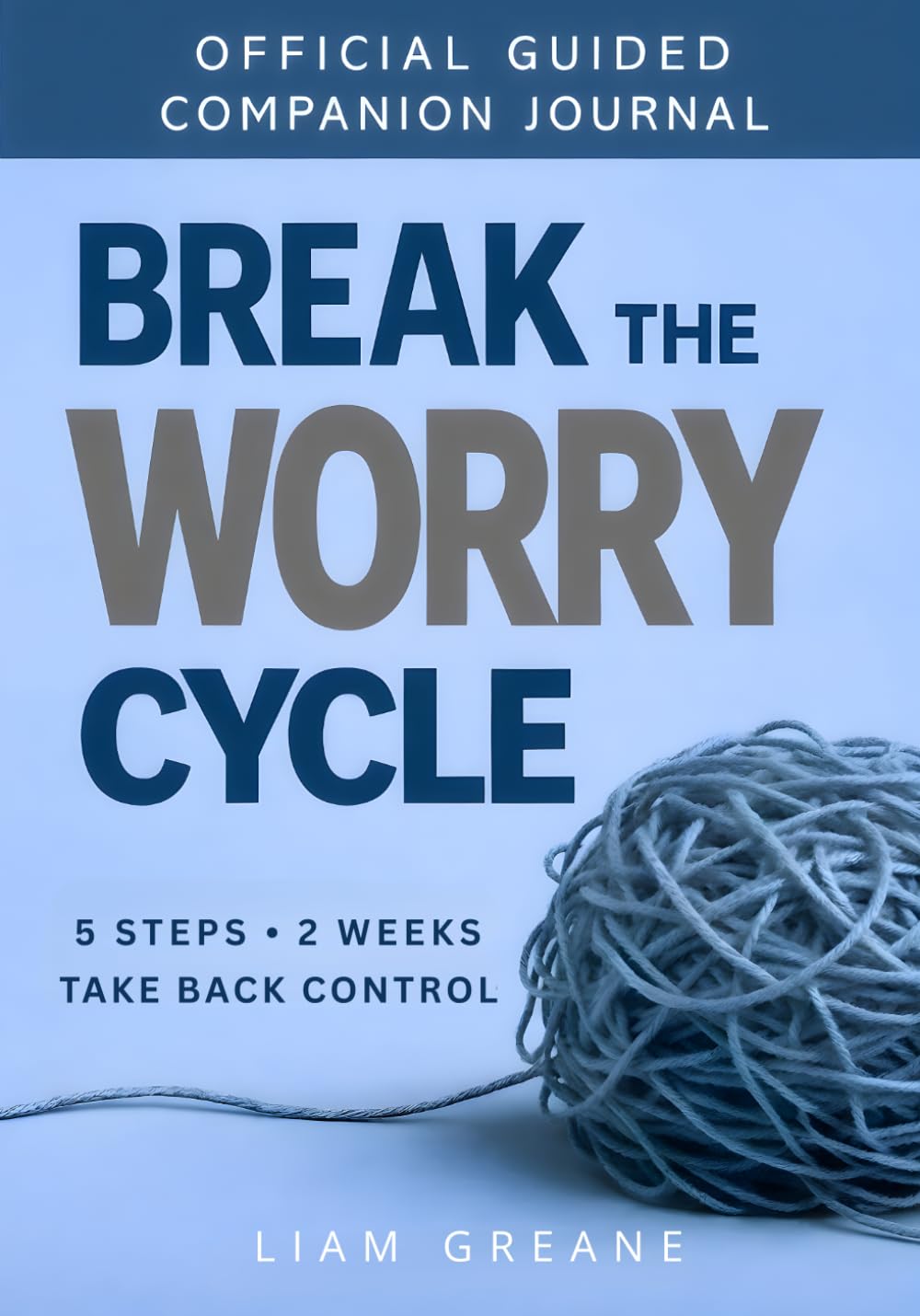 BREAK THE WORRY CYCLE: The Official Guided Companion Journal - Apply the 5-Step Method, Break Worry Cycles, Take Back Control
