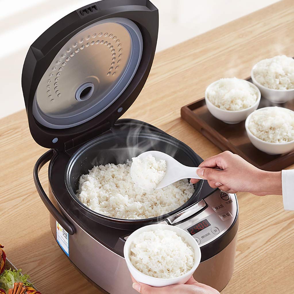 Cuiseur à Riz, avec Cuiseur Vapeur, 5L-860W, Isolation Intelligente, Petits Appareils Multifonctions, Convient Aux Ménages / 5-8 Personnes