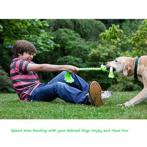 Dog Toys Flying Disc Rope Toy Chew Toys 2 Pack for Dogs Flying Discs Training Cotton Rope-Dog Toy Pack Set DT1-2P Dog Toys Flying Disc Rope Toy Chew Toys 2 Pack for Dogs Flying Discs Training Cotton Rope-Dog Toy Pack Set DT1-2P