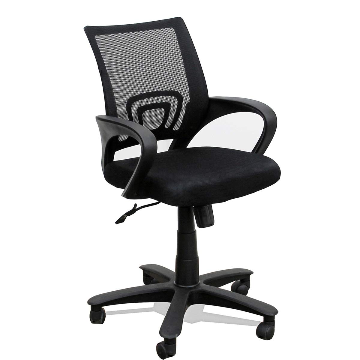 Buy TimberTaste Rocky Low Back Support Office Chair Ergonomic Staff