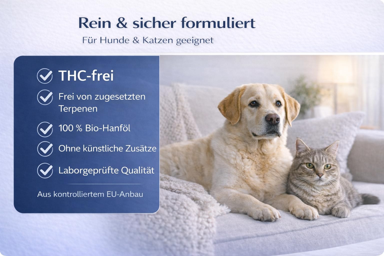 Hanföl für Hunde & Katzen 𝟏𝟎𝟎𝟎𝐦𝐠 – natürliches Beruhigungsmittel aus Hanfsamen – unterstützt Entspannung, Fellpflege & Wohlbefinden