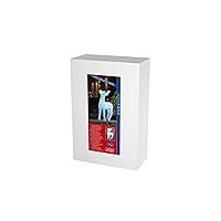 Konstsmide 6121-203 Renna in Acrilico a LED, 176 diodi a Luce Bianca Fredda