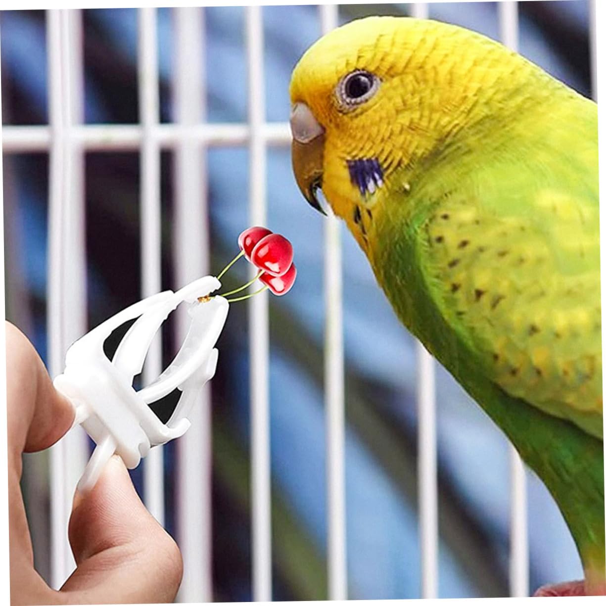 VANZACK 18 Pcs Porte-Fruits Légumes Oiseau Nourriture Isopode Pinces à Légumes Perroquet Os Câlin Pinces d'alimentation pour Oiseaux Os De Seiche pour Les Oiseaux Métal des Oiseaux