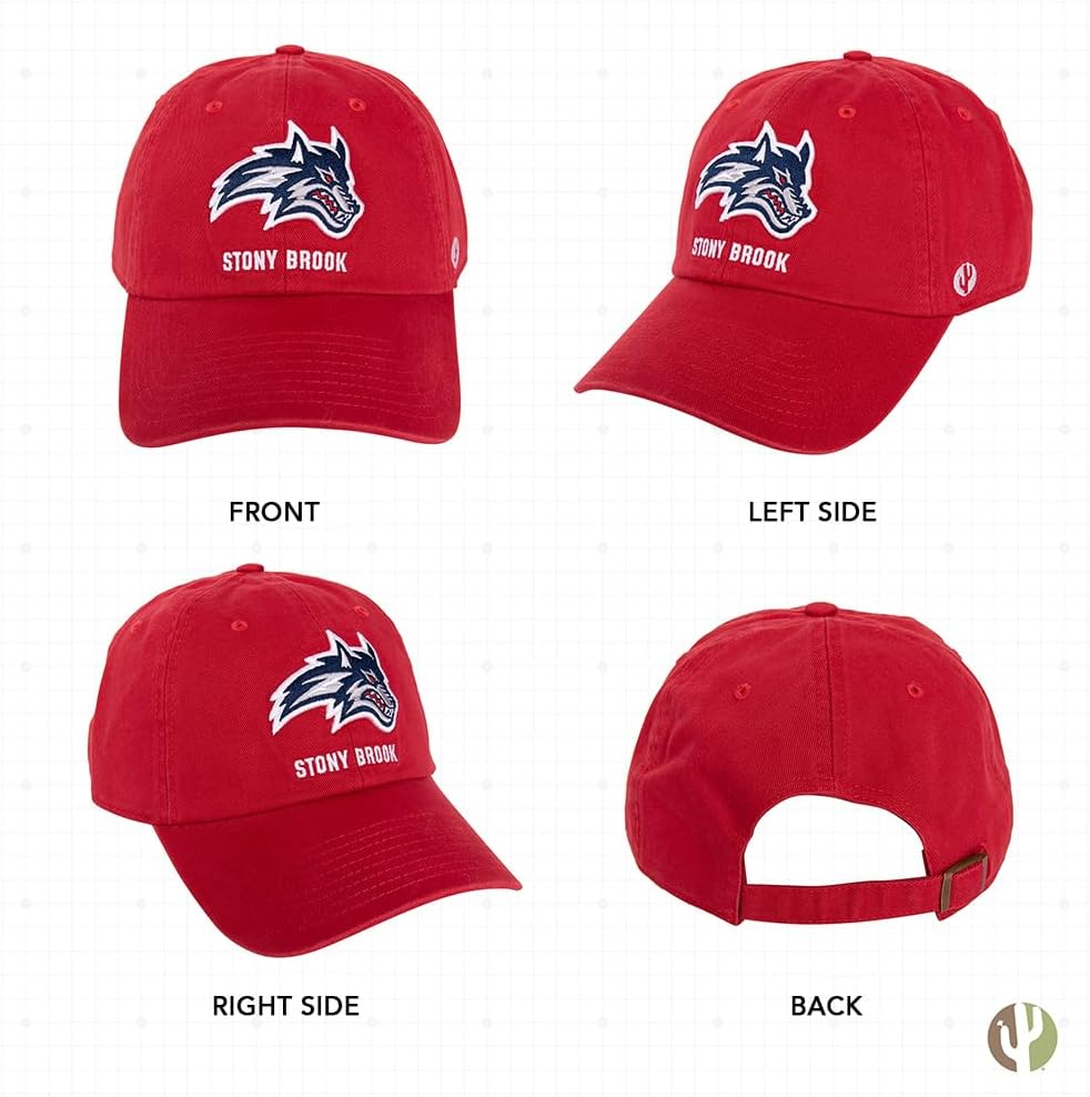 Desert Cactus Stony Brook University Baseball Hat Seawolves Seawolf Brimmed Embroidered Hats Cap Adjustable Cloth Strap Adult (Style B) - Image 3