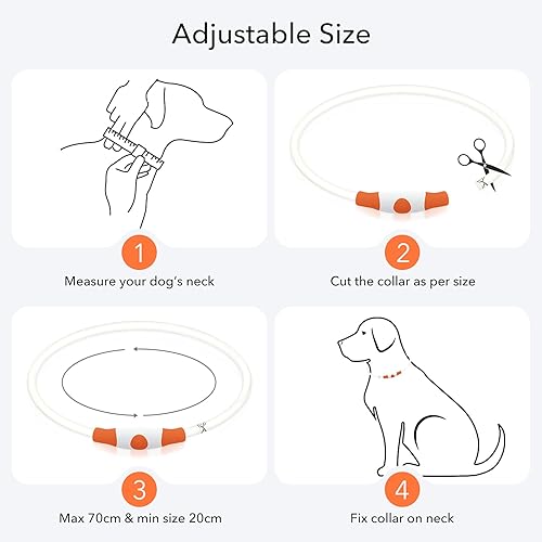 Miniatura 6 de Colaseeme Collar de perro con luz LED, 1 unidad recargable por USB, TPU brillante, collares básicos de seguridad para perros grandes, medianos y