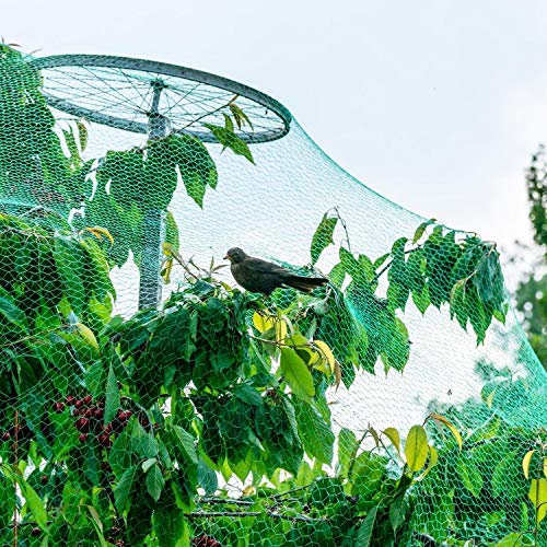 Garden Netting, Butterfly and Bird Netting, Insect Netting - 4M X 10M Garden Fine Insect Protection Mesh Netting Protect Against Rodents Birds
