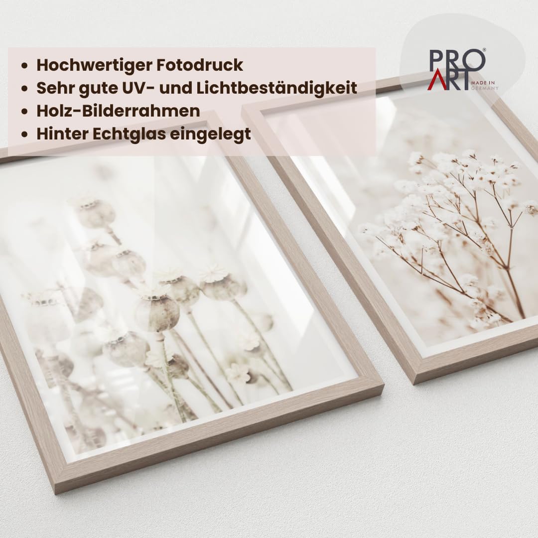 Pro-Art Gerahmte Wandbilder 2er Set 33x43 cm – Zarte Trockenblumen & Mohnkapseln Beige Boho Wanddeko Holzrahmen mit Glasscheibe Wohnzimmer Bilder mit Rahmen – Made in Germany