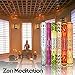 HEM Incense Sticks Best Sellers 6 Boxes X 20 Grams, Total 120 Gm
