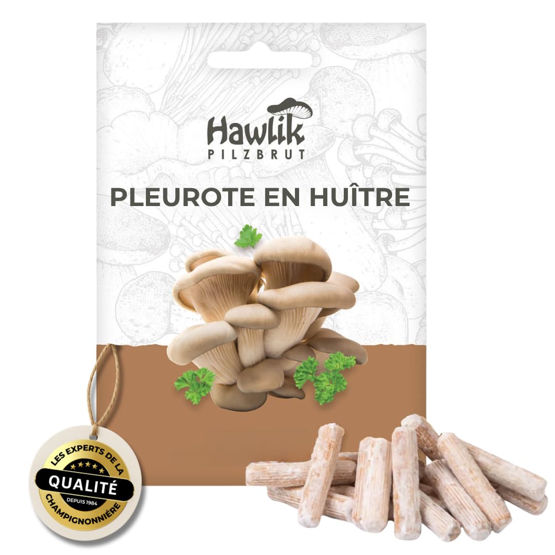 Hawlik Pilzbrut - Cheville Pleurotes en huître pour cultiver soi-même - 20 cheville avec mycélium de champignon