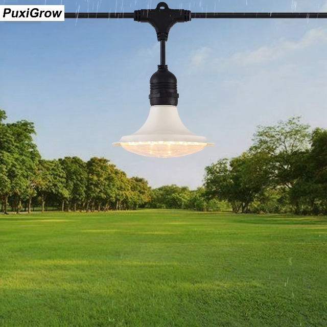 ラブラドライト Amazon.com : PuxiGrow Outdoor LED Grow Lights, Waterproof String