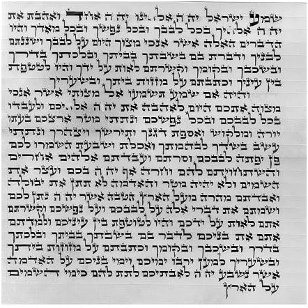 Mehudar ''Extraordinary'' Mezuzah Scroll, 12cm