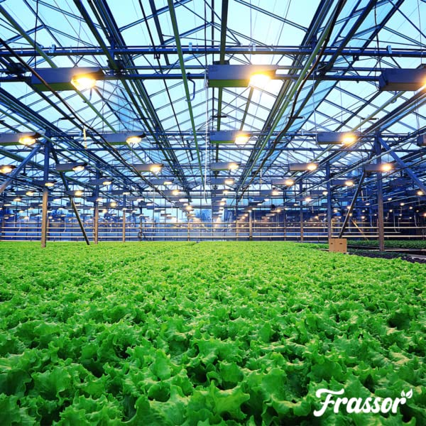 Fertilizzante Per Insetti - 5kg = 50m2 | Fertilizzante E Attivatore Naturale Per Terreno - Ricco Di Sostanze Nutritive - Fertilizzante Per Giardino - Frassor