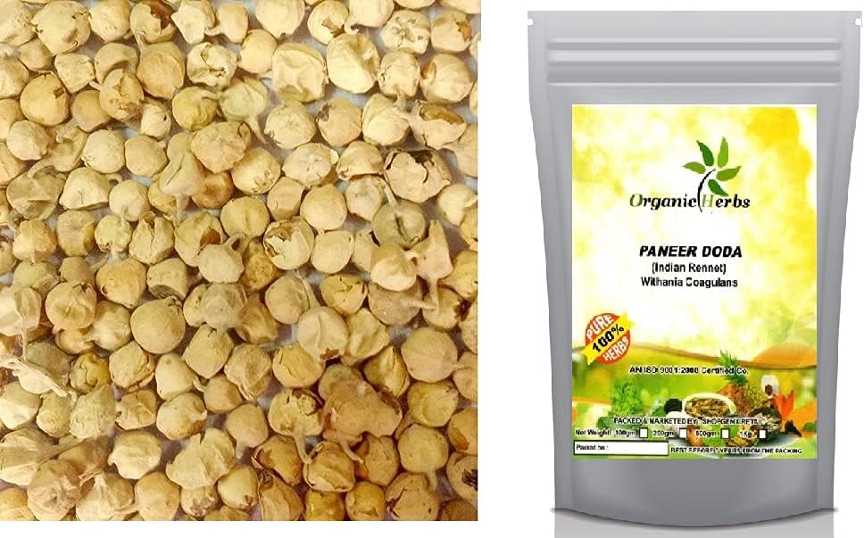 Billion Deals Paneer DODI | Indian Rennet | Paneer Doda | Withania coagulans | 1000g
