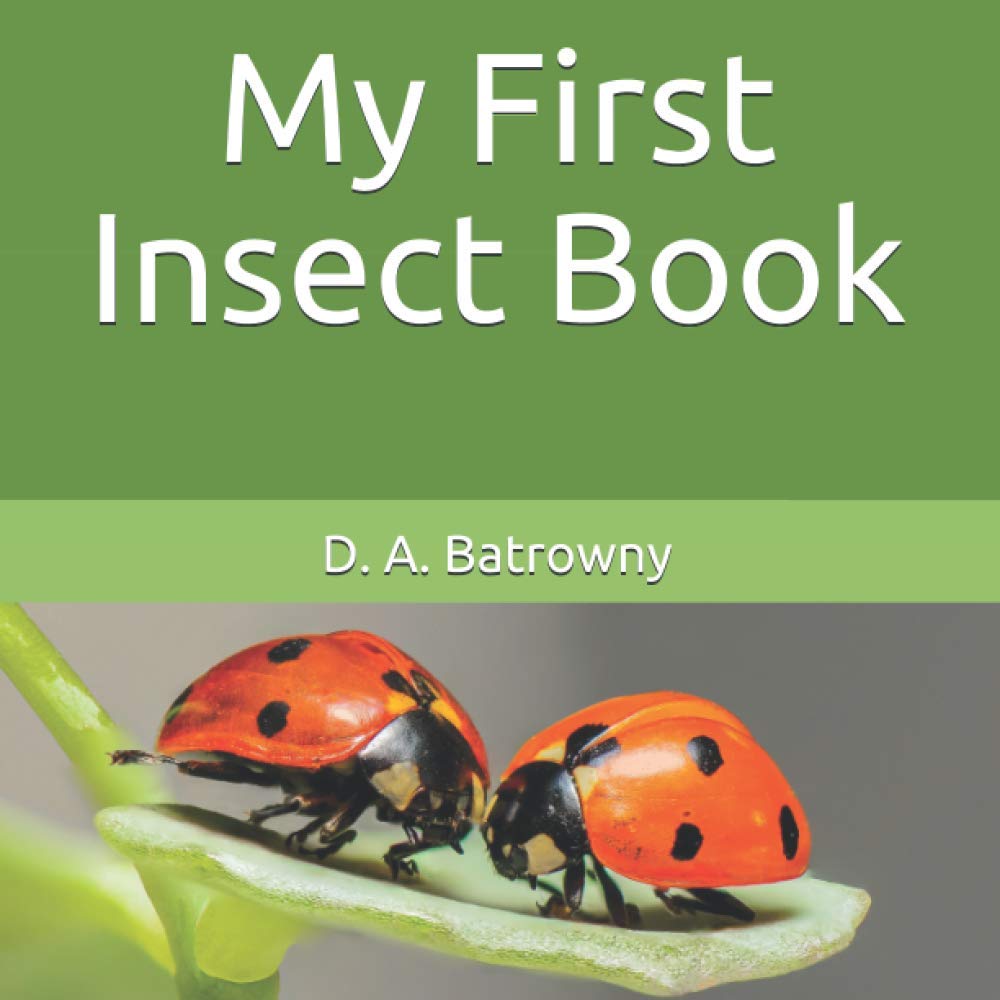 My First Insect Book: 6 (My First Book Series)
