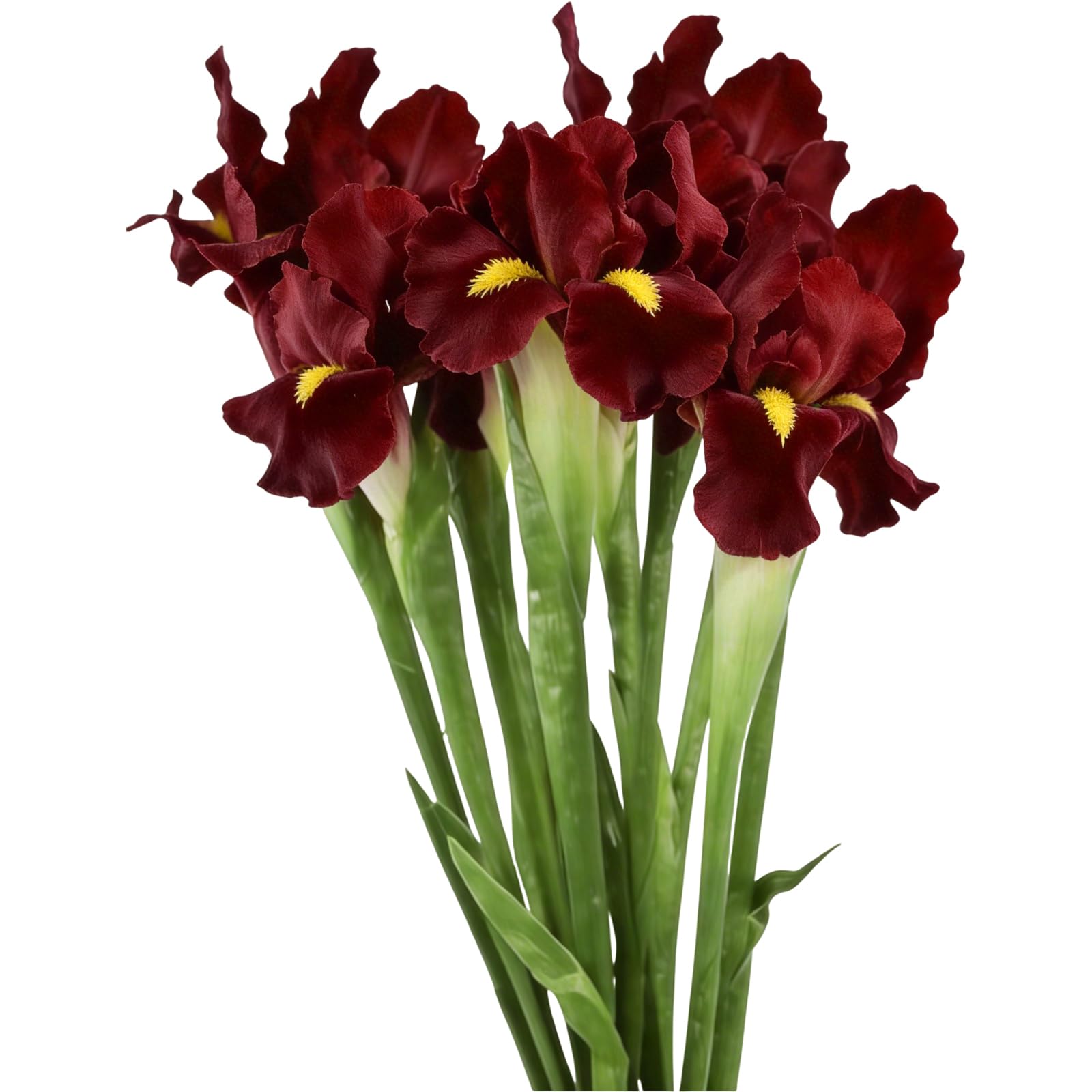 Fleurs d'iris artificielles en soie haut de gamme au toucher réaliste rouge et noir