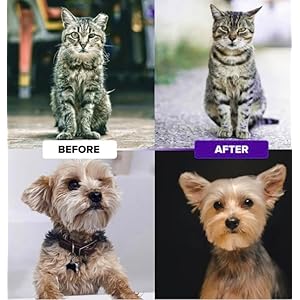 Pret & Lively Pet hair Dematting Tool, Tough Mats and Tangles, Undercoat Rake Comb, Dogs, Cats, Rabbits, & All Hairy Pets, Holiday Gift, Professional Grooming Brush For Deshedding, Extra Wide (Purple)