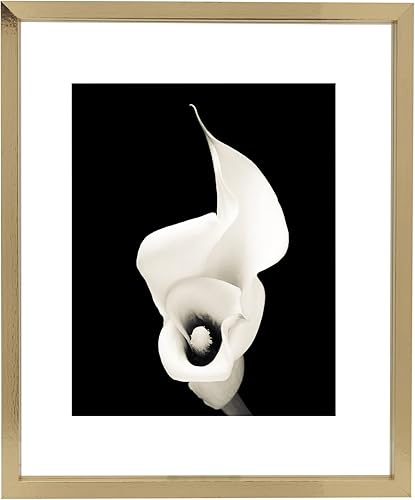 Mikasa Marco flotante para retrato, marco de 7 x 9 pulgadas para mostrar una foto de 4 x 6, color plateado