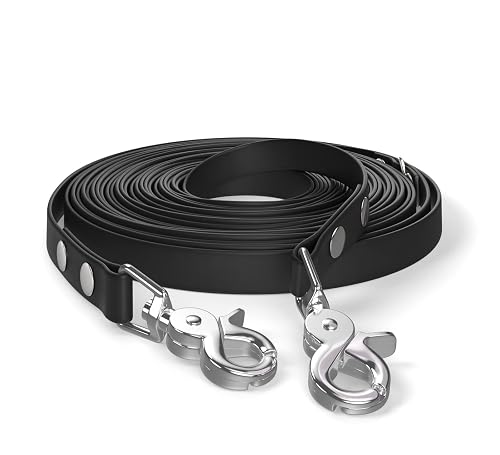 Correa de Arrastre de 10 m, Correa para Perros, 2 mosquetones y Anilla en D, Negra, Muy Resistente