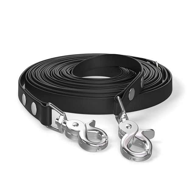Correa de Arrastre de 10 m, Correa para Perros, 2 mosquetones y Anilla en D, Negra, Muy Resistente