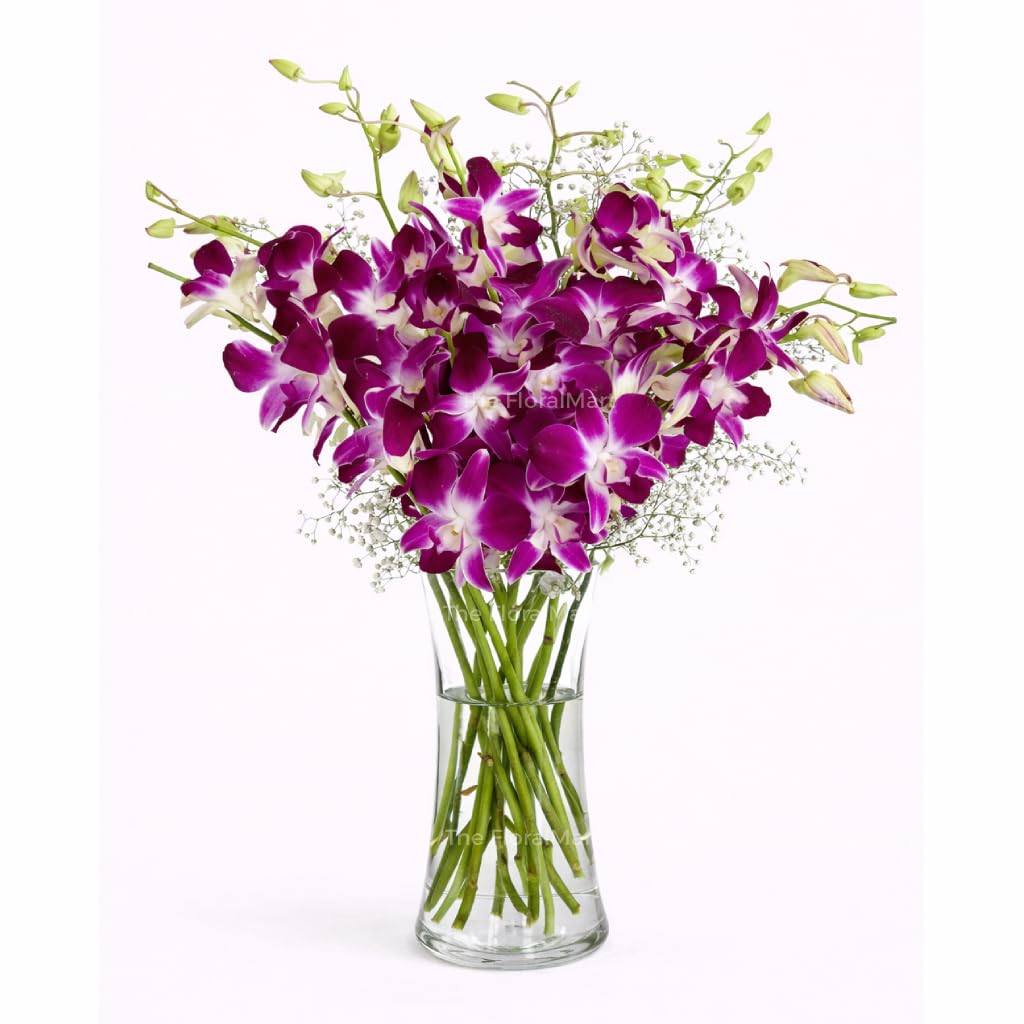 The FloralMart Glass Vase Arrangement of 12 Purple Orchids Fresh Flowers with Seasonal Fillers, for Birthday Gift, Anniversary Gift, Wedding Gift, Valentines Day Gift, (Same Day Delivery)-image-27