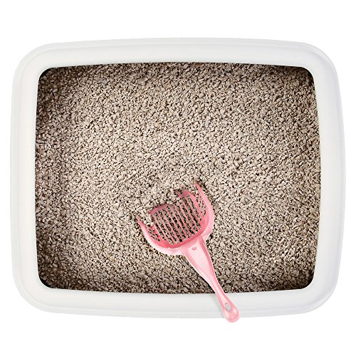 Cat Litter Scoop With Reinforced Comfort Handle By Weebo Pets (Coral) #TOP3