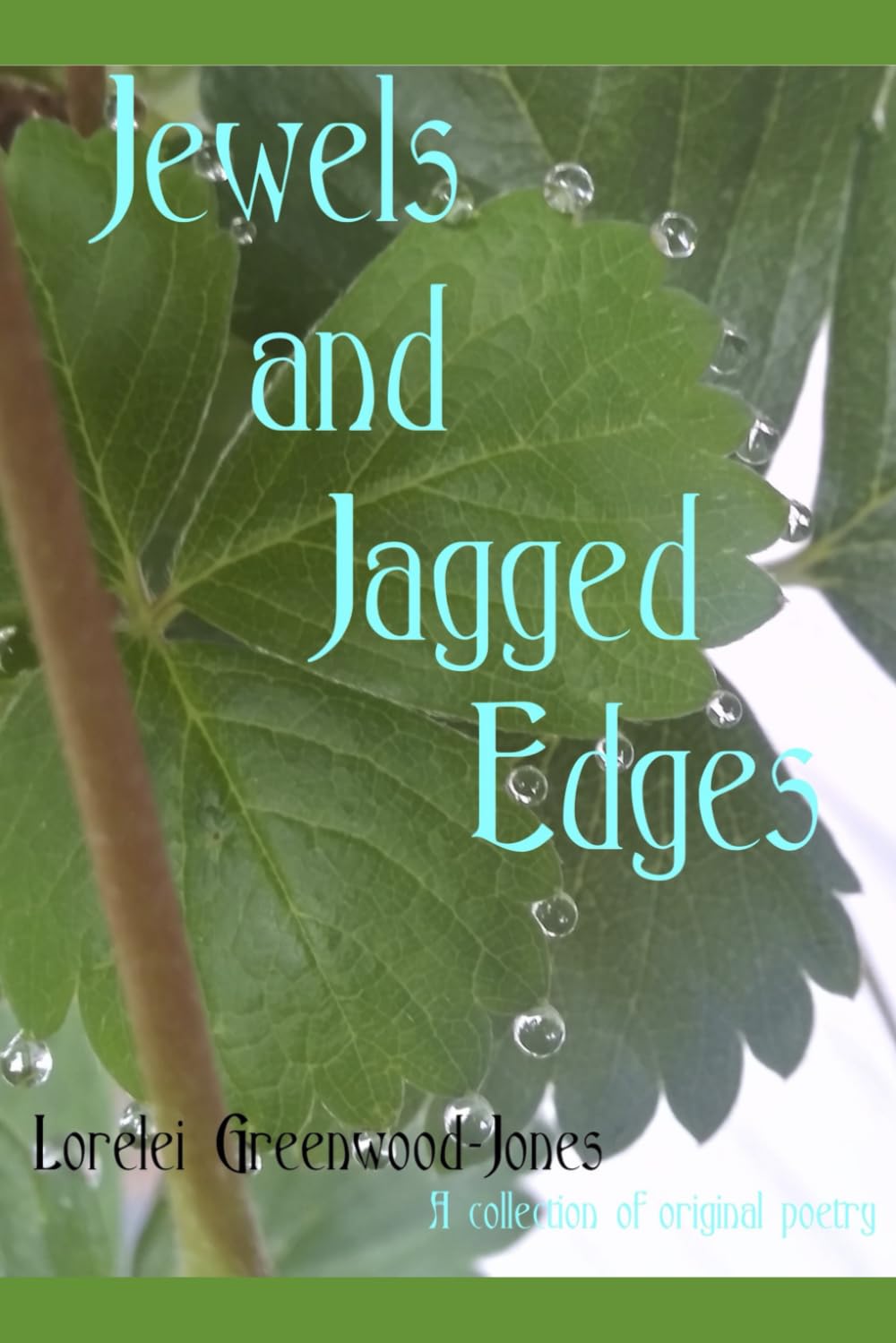 Jewels and Jagged Edges: A Collection of Original Poetry