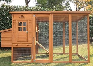 Pets Imperial® Arlington Flat Roof Chicken Coop with Outdoor Run 2.5 m - Chicken House - 250 cm (W) x 76 cm (D) x 103 cm (H)