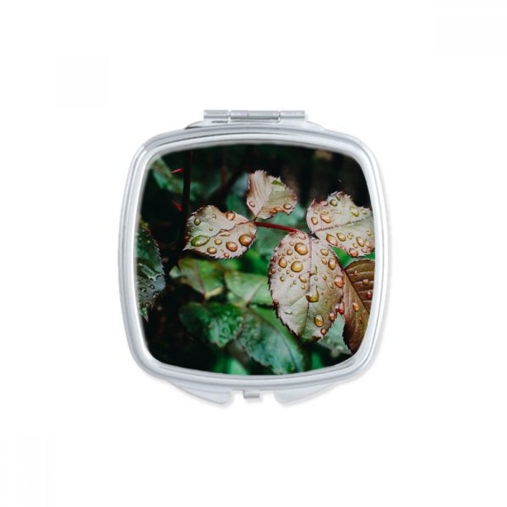 Miroir de maquillage compact vert feuille, idée cadeau fait main mignon