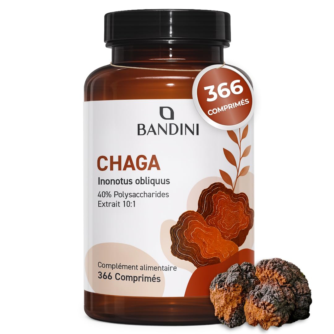 Bandini® Chaga champignon 366 comprimés | Polypore oblique - Inonotus Obliquus | Complément riche en antioxydants et polyphénols | Pour l'équilibre quotidien | Jusqu'à 1000mg par dose - Chaga Mushroom