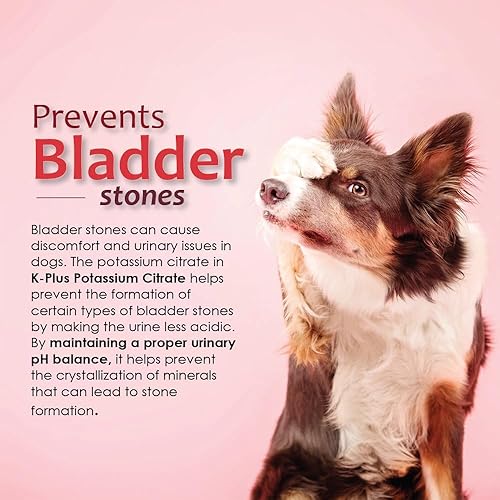 Miniatura 9 de K-Plus Citrato de Potasio Plus Suplemento de Arándano para Perros - Remedio para UTI Tabletas Masticables - Apoya la Salud de la Vejiga - Para Todas