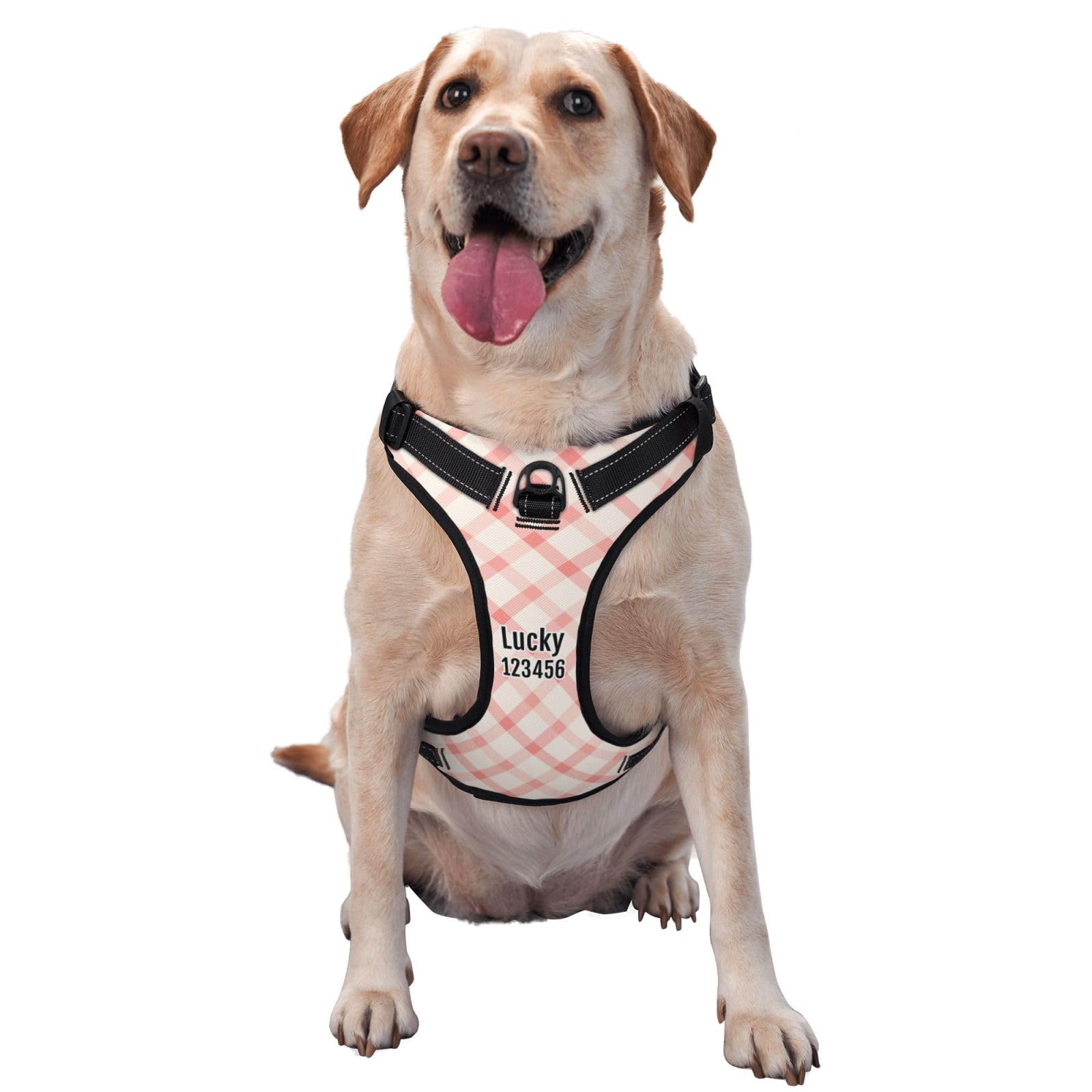 Personalized No Pull Dog Harness Leash, Custom Heavy Duty Reflective Dog Harness with Photo/Name/Phone Number/Text/Logo
